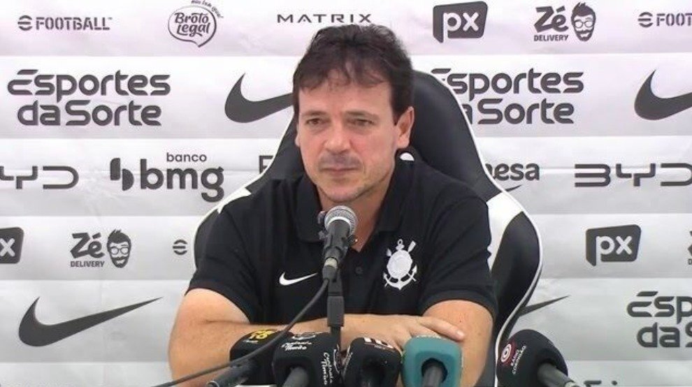 Técnico Fernando Diniz